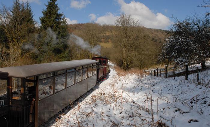 Winter Scene